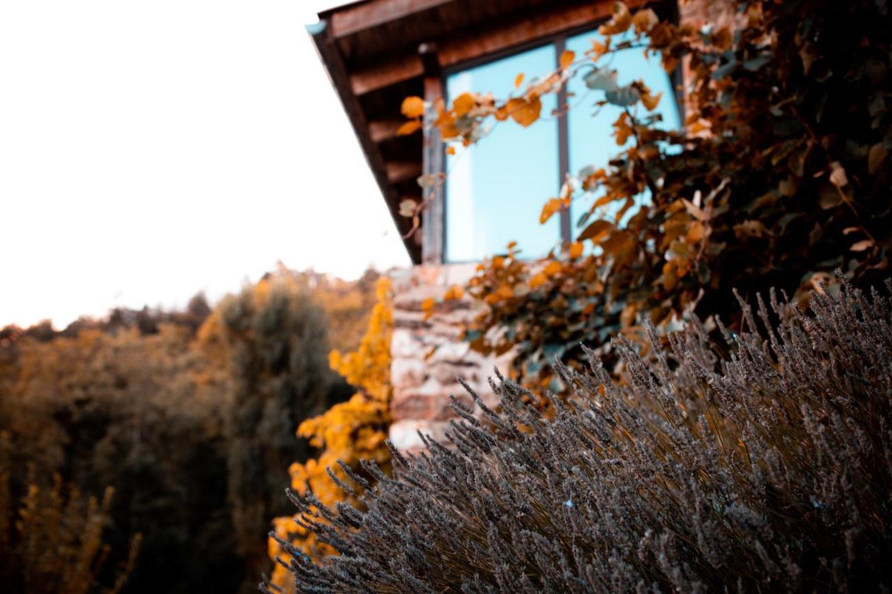 Le Hameau De La Mure Guest house *