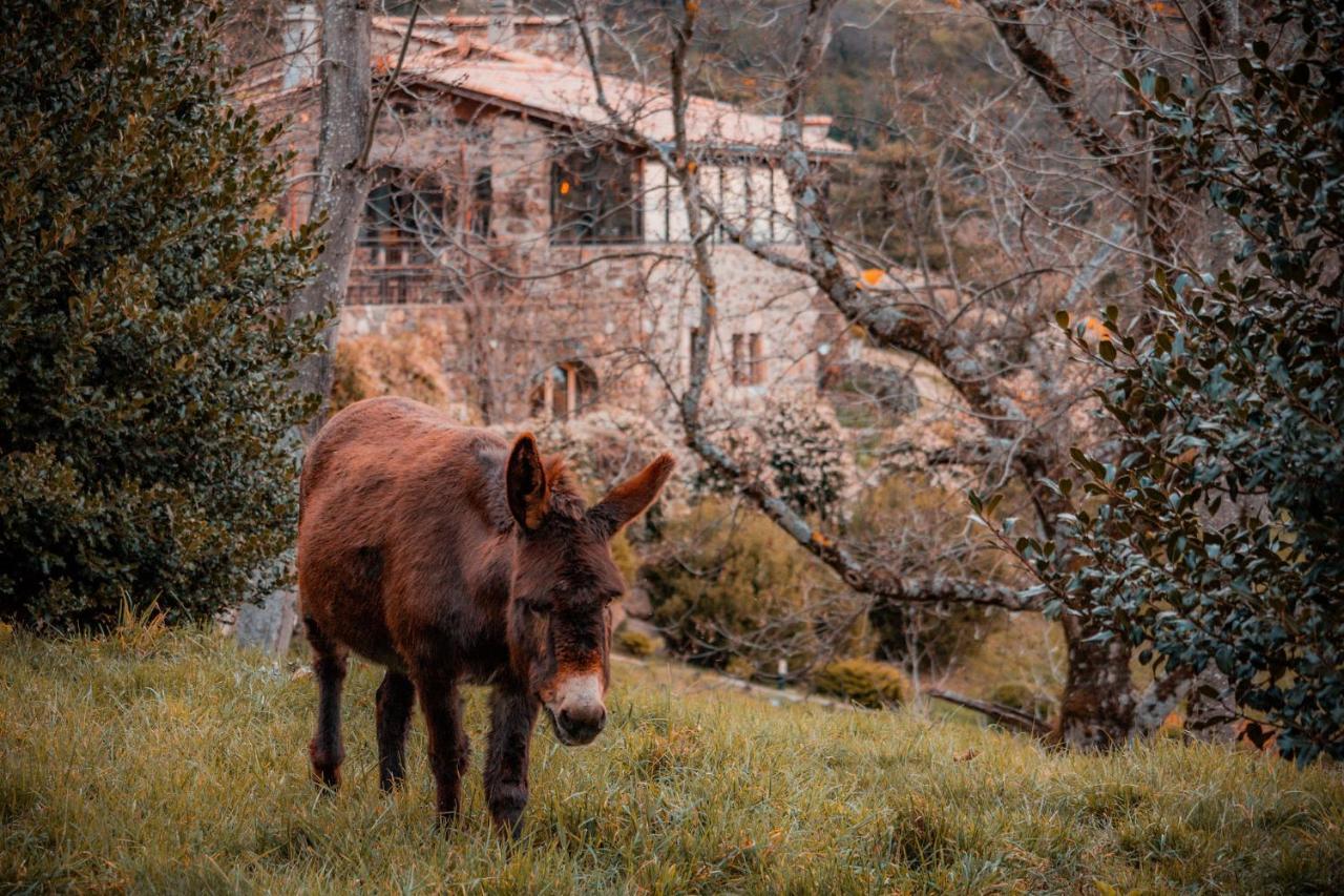 Le Hameau De La Mure